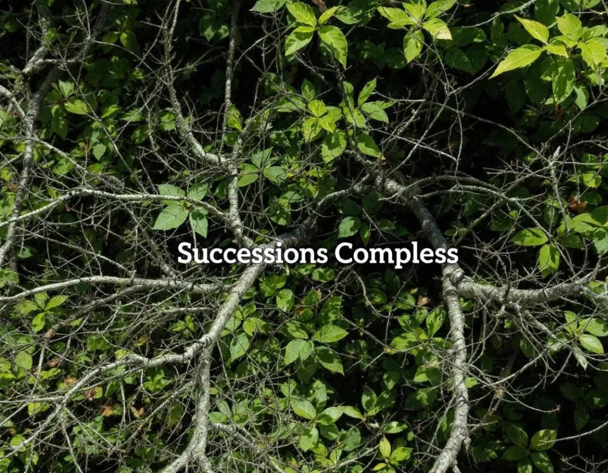 Successions Complexes : Navigation à travers les méandres juridiques et patrimoniaux